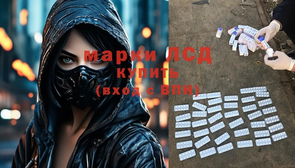 индика Инсар