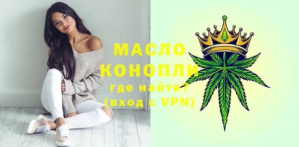 индика Инсар