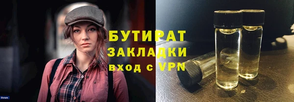 индика Инсар