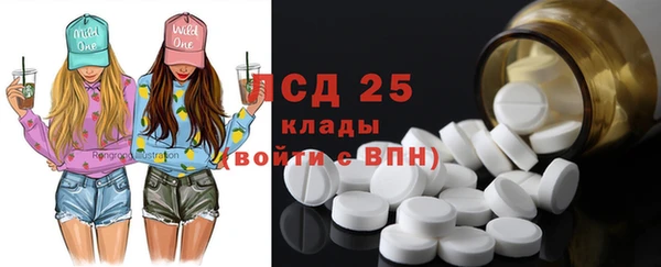 индика Инсар