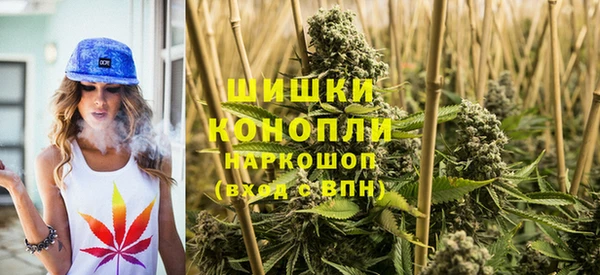 сатива Инта
