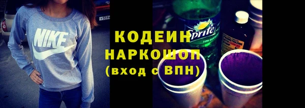 сатива Инта