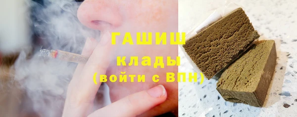 сатива Инта