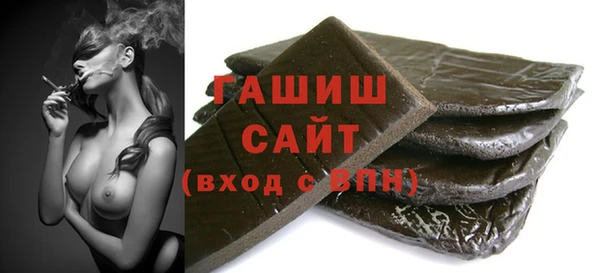 индика Инсар