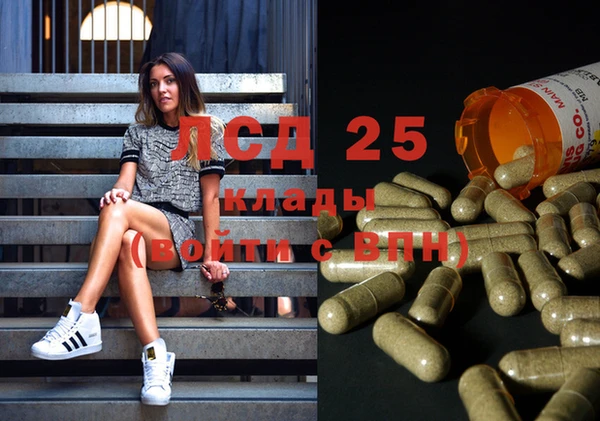 мяу мяу кристалл Иннополис