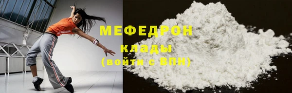 индика Инсар