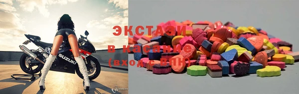 индика Инсар