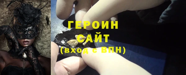 сатива Инта