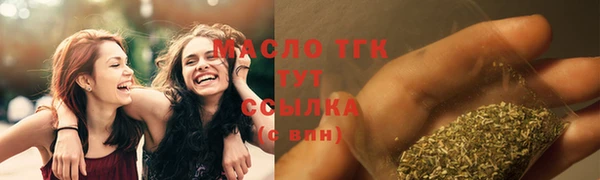 индика Инсар