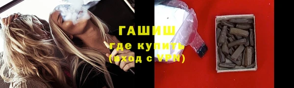 индика Инсар