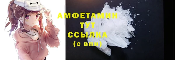 индика Инсар