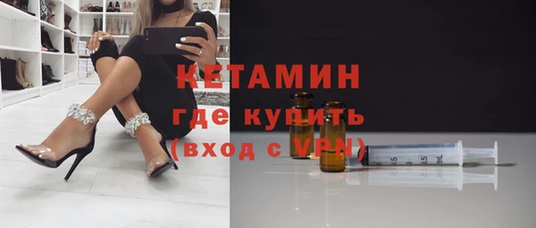 индика Инсар