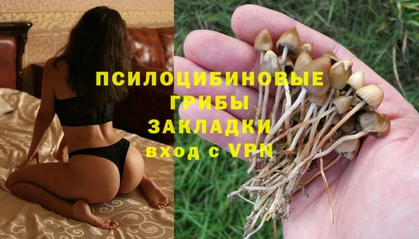 индика Инсар