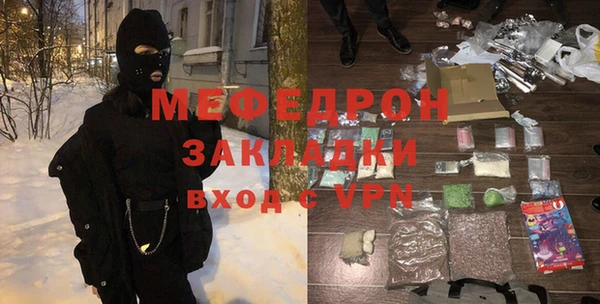 индика Инсар