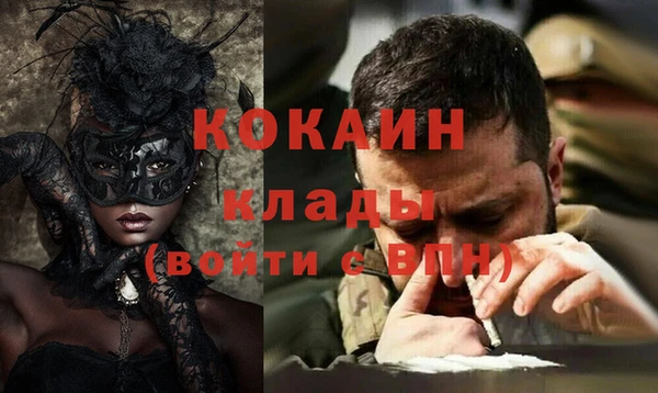 сатива Инта