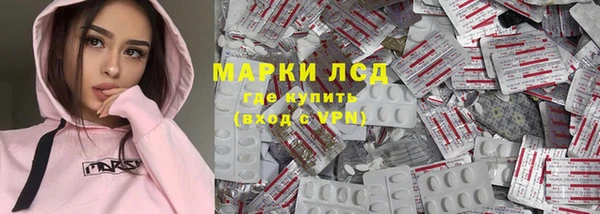 сатива Инта