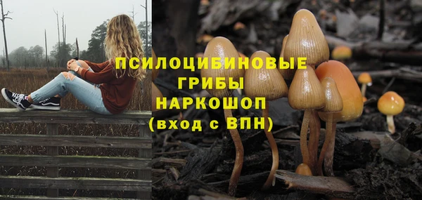 сатива Инта