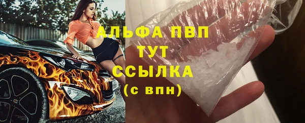 сатива Инта
