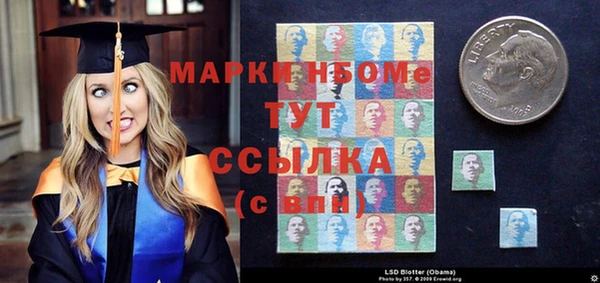 сатива Инта