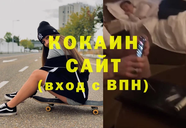 сатива Инта