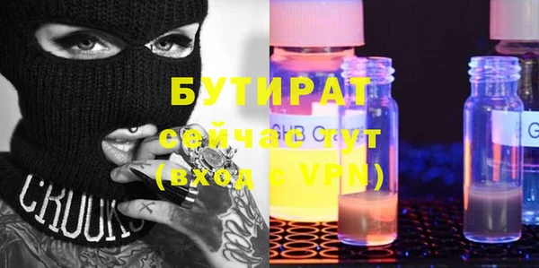 индика Инсар