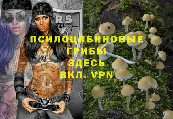 мяу мяу кристалл Иннополис