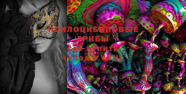 индика Инсар