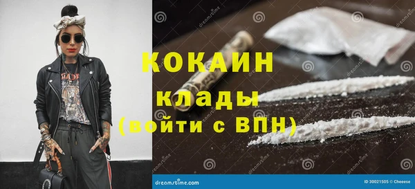 индика Инсар