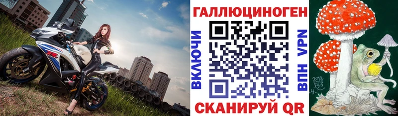 Галлюциногенные грибы Cubensis Купить закладки Пущино