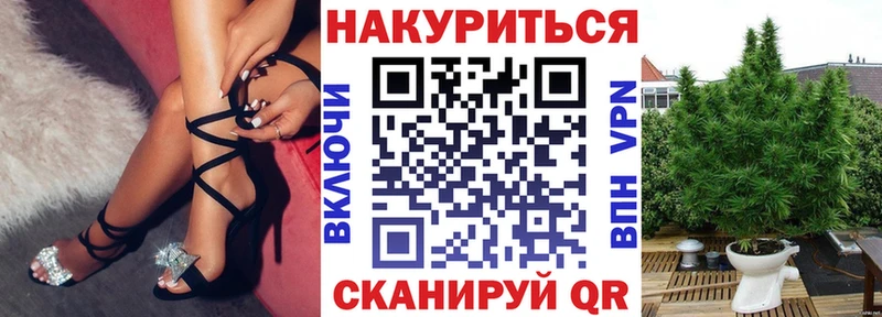 Конопля сатива Пущино